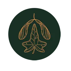 HEDERA_ICON_DARKGREEN_250x250