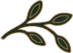 LEAF_ICON_FIVE_GREEN_107x78
