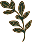 LEAF_ICON_FOUR_GREEN_110x146